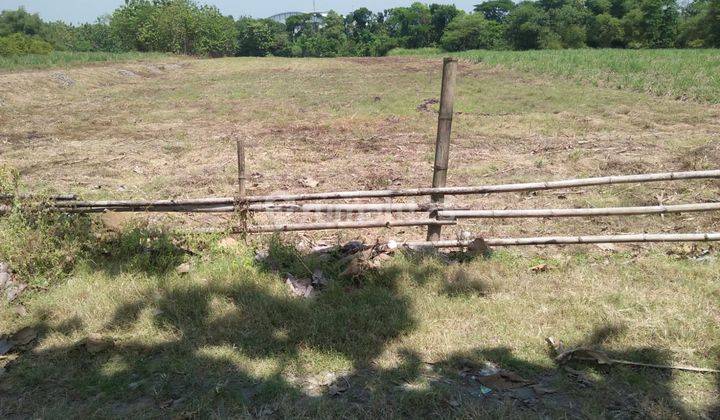 Lahan dijual dengan zona industri di daerah Banaran ,Sambung Macan,Sragen 2