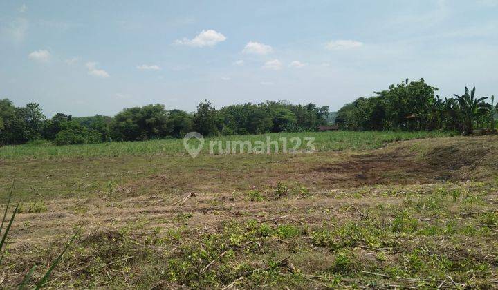 Lahan dijual dengan zona industri di daerah Banaran ,Sambung Macan,Sragen 3