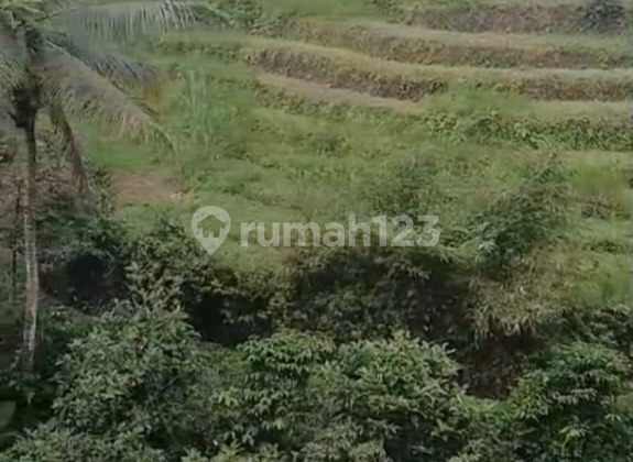 Strategic and Expansive Contoured Land in Karang Salam Baturaden