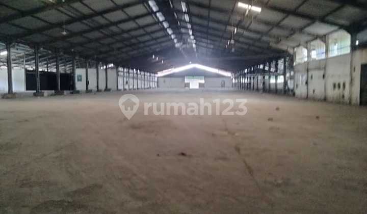 Exclusive Spacious Strategic Warehouse in Sayung Demak