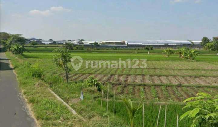 Lahan Industri Strategis Siap Pakai di Klaten 1