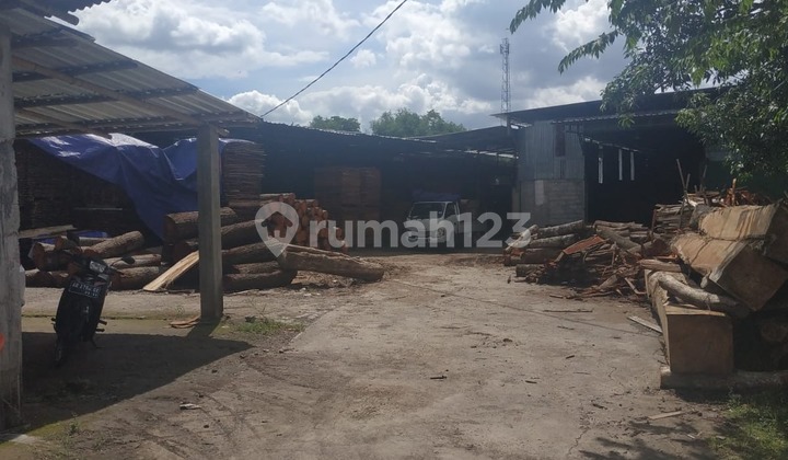 Active Good Ready-to-Use Plywood Factory in Sukoharjo Active Good Ready-to-Use Plywood Factory in Sukoharjo