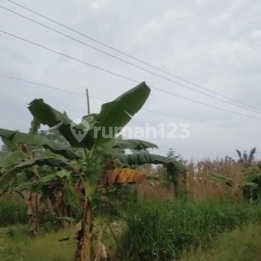 Land for Ready-to-Use Barns in Wonosamodra, Boyolali Land for Ready-to-Use Barns in Wonosamodra, Boyolali