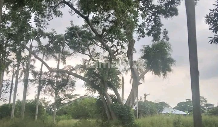 Tanah Startegis Pinggir Jalan Raya di Pamulang Tangerang Tanah Startegis Pinggir Jalan Raya di Pamulang Tangerang