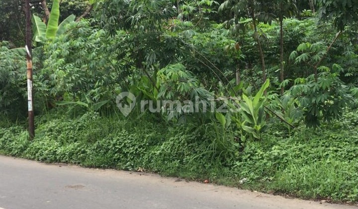 Tanah Luas Investasi Startegis Siap Pakai di Randuacir