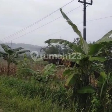 Lahan Strategis Siap Pakai Cocok Untukperkebunan /peternakan Di Wonosamodra, Boyolali Lahan Strategis Siap Pakai Cocok Untukperkebunan /peternakan Di Wonosamodra, Boyolali