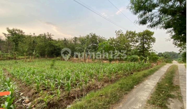 Prime Strategic Land Suitable for Warehouse in Wongsonegoro