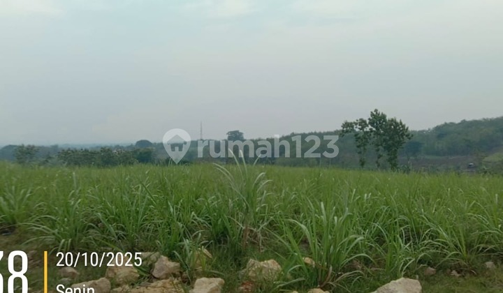 Strategic Land Ready for Business Use in Gabus