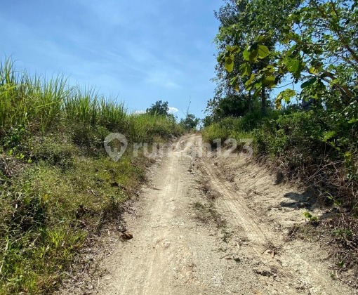 Premium Ready-to-Use Strategic Land in Swait Boyolali Premium Ready-to-Use Strategic Land in Swait Boyolali