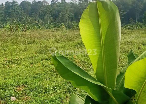 Lahan Strategis di Zona Industri Kpi Bergas Semarang 2