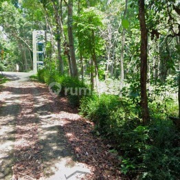 Lahan Eksklusif Siap Pakai Untuk Usaha di Klego Boyolali