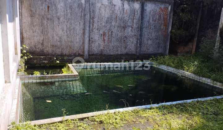 For Sale: Former Bottled Drinking Water Factory in Magelang For Sale: Former Bottled Drinking Water Factory in Magelang