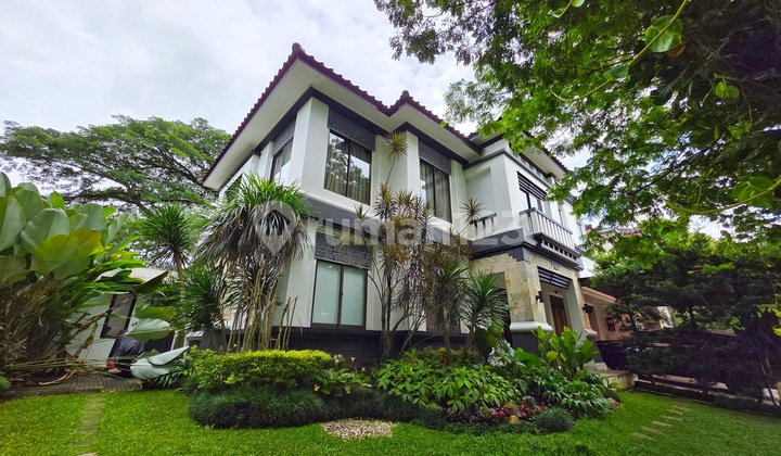 Rumah Mewah Dengan Taman Yang Luas Rumah Mewah Dengan Taman Yang Luas