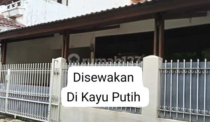 Disewakan Rumah Luas di Kayu Putih Pulomas Siap Huni Disewakan Rumah Luas di Kayu Putih Pulomas Siap Huni