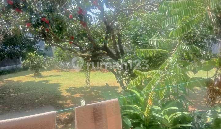 For Sale Fast Old House Bonus Livable House in Meruya Tangerang 2