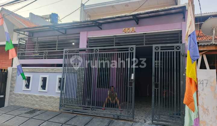 Disewa Rumah Bagus di Kayu Putih, Jakarta Timur Disewa Rumah Bagus di Kayu Putih, Jakarta Timur