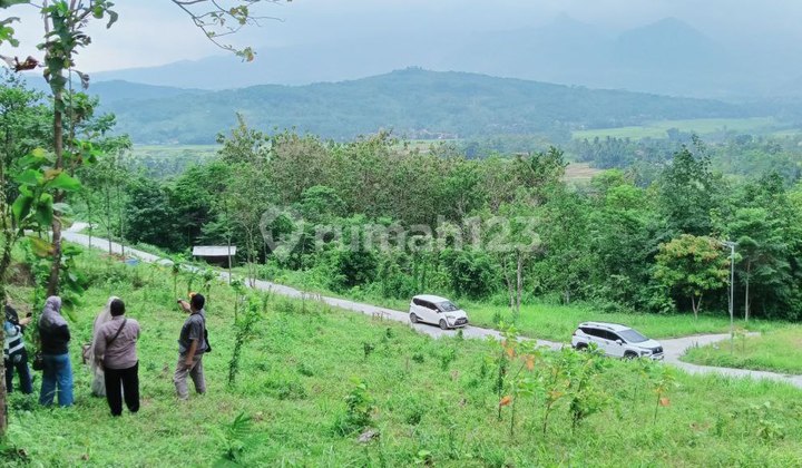 Jual Tanah Kavling Pinggir Jalan Puncak 2 6