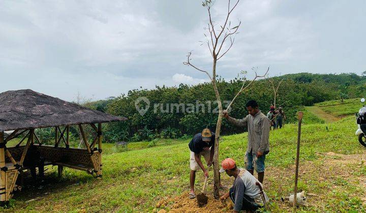 Jual Tanah Kavling di Klapanunggal Pusat Kab Bogor Timur 6