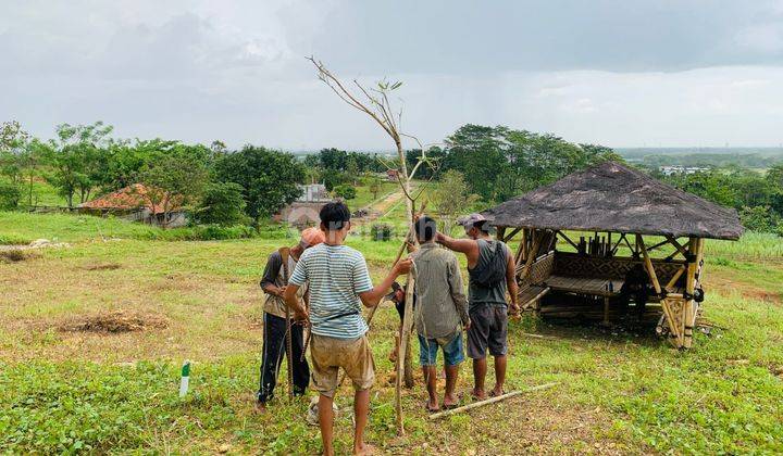 Jual Tanah Kavling di Klapanunggal Pusat Kab Bogor Timur 7