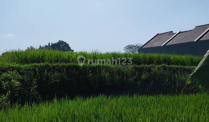 Tanah sawah siap bangun lokasi sangat strategis dekat BMKG kabupaten Malang  3