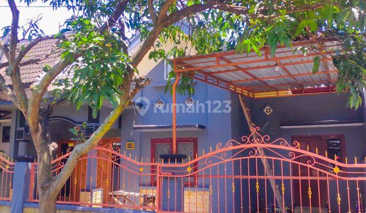 Rumah 1 Lantai Cantik & Bagus Siap Huni Modern Haega Terjangkau  1