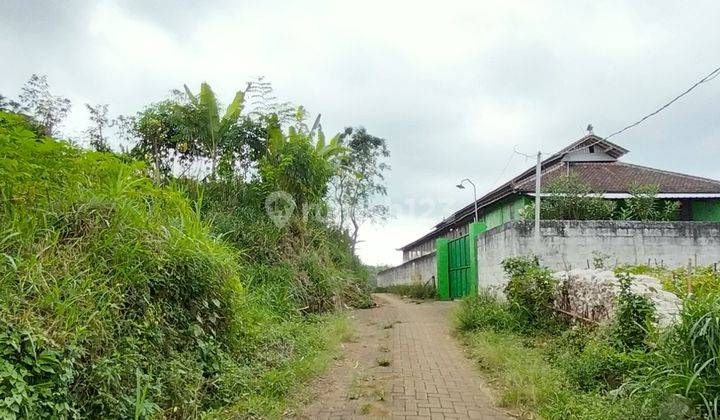 Dijual cepat Tanah Kebun cocok untuk bercocok tanam atau bangun rumah 2