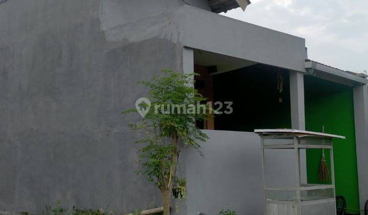 CEPAT RUMAH 1 LANTAI CANTIK DAN BAGUS HARGA SANGAT TERJANGKAU 2