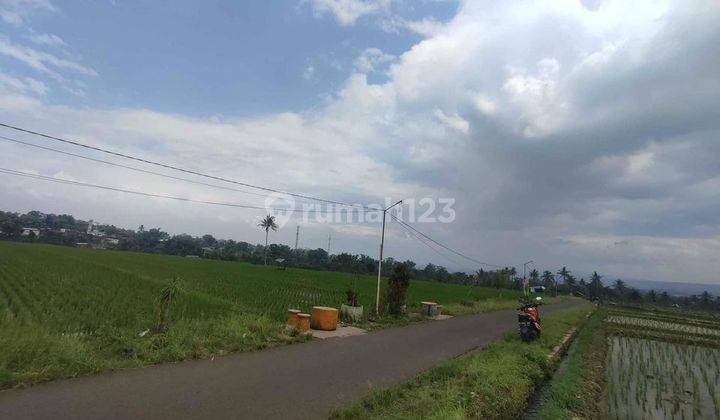 TANAH PERKEBUNAN SIAP BANGUN LOKASI SANGAT STRATEGIS HARGA TERJANGKAU 2