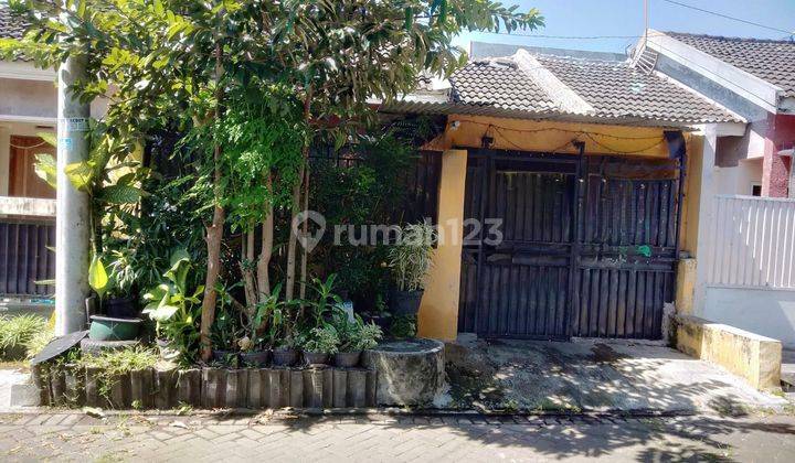 CEPAT RUMAH 1 LANTAI CANTIK & BAGUS HARGA SANGAT TERJANGKAU 1