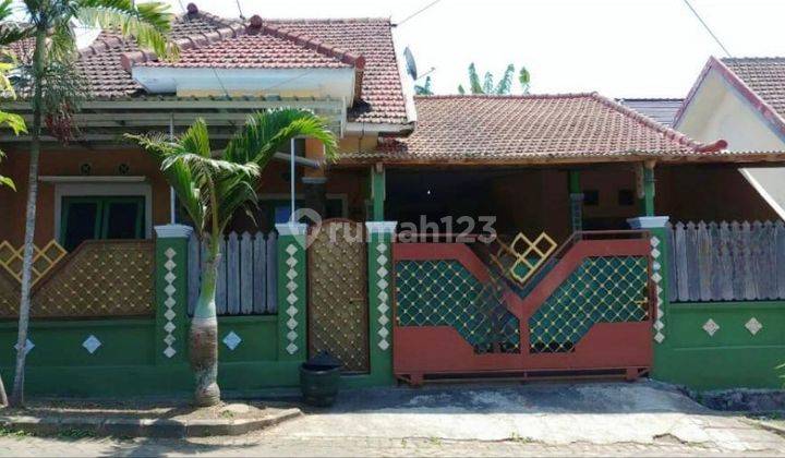 CEPAT RUMAH 1 LANTAI CANTIK & BAGUS HARGA SANGAT TERJANGKAU 1