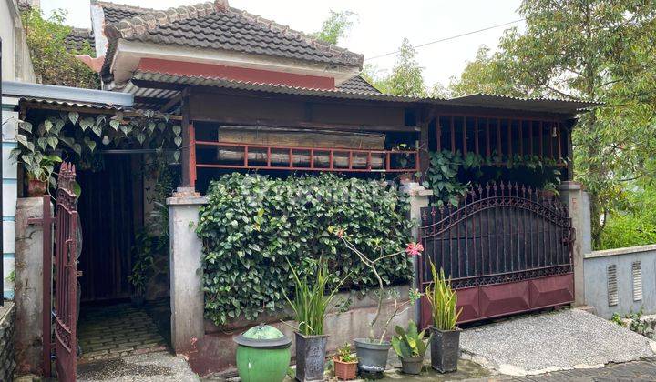 SECEPATNYA RUMAH SATU LANTAI BAGUS & CANTIK HARGA SANGAT TERJANGKAU 1