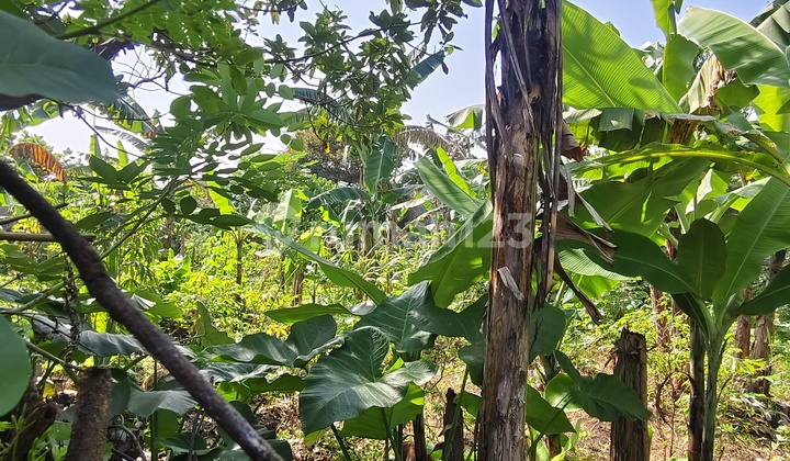 DIJUAL SECEPATNYA TANAH KAVLING SIAP BANGUN LOKASI SANGAT STRATEGIS