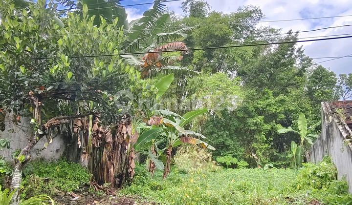 Land Plot for Immediate Sale, Ready to Build, Strategic Location Near Campus Land Plot for Immediate Sale, Ready to Build, Strategic Location Near Campus