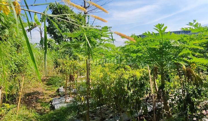 DIJUAL TANAH KAVLING SECEPATNYA SIAP BANGUN HARGA SANGAT TERJANGKAU 1