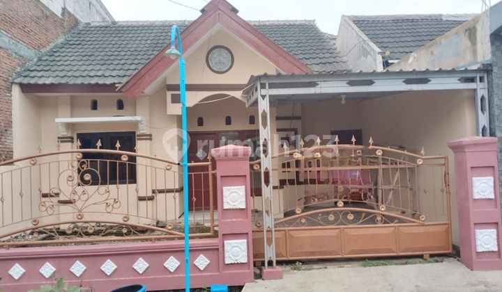 Rumah 1 Lantai Bagus Modern Harga Sangat Terjangkau Rumah 1 Lantai Bagus Modern Harga Sangat Terjangkau