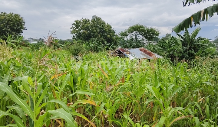 DIJUAL SECEPATNYA TANAH KAVLING SIAP BANGUN HARGA SANGAT DIJUAL SECEPATNYA TANAH KAVLING SIAP BANGUN HARGA SANGAT