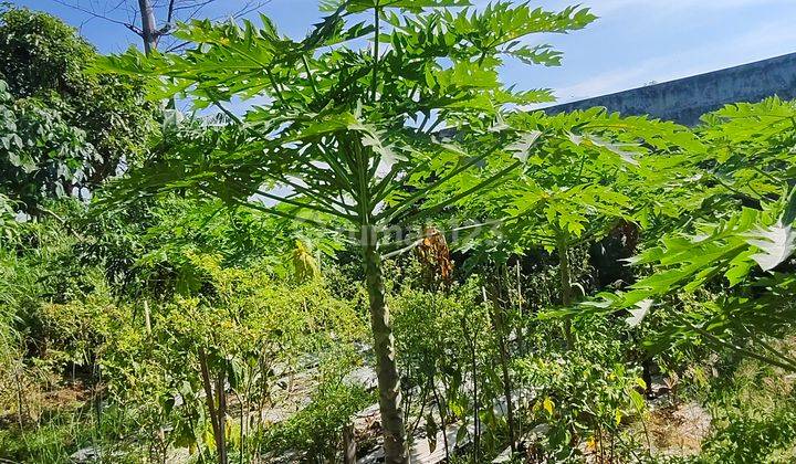 DIJUAL TANAH KAVLING SECEPATNYA SIAP BANGUN HARGA SANGAT TERJANGKAU 2