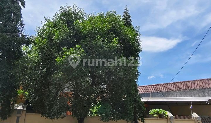 Rumah 1 ½ Lantai Lokasi Sangat Strategis Harga Sangat Terjangkau Rumah 1 ½ Lantai Lokasi Sangat Strategis Harga Sangat Terjangkau