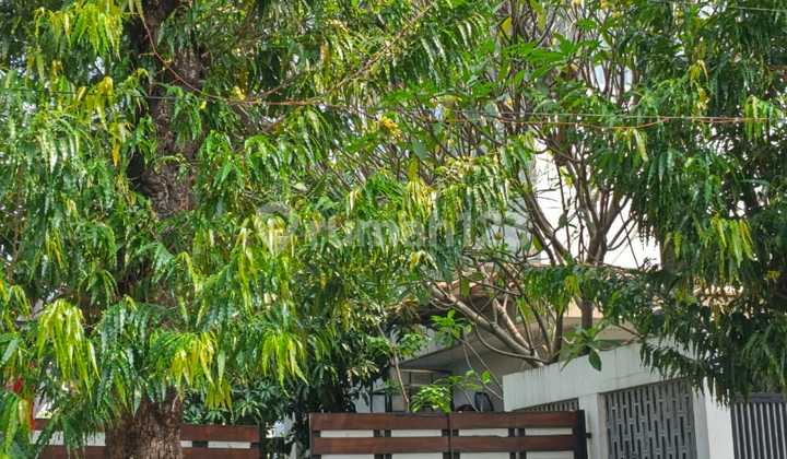 For Sale Modern Townhouse in Kemang Seka – Area 343m², Premium and Comfortable Location!