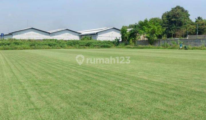 Tanah Murah 2,1 hectare SHM Sewan Neglasari Tangerang 1