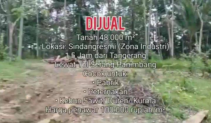 Tanah Murah Sindangresmi Pandeglang 4,8 Hectare 1