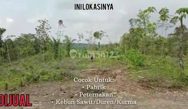 Tanah Murah Sindangresmi Pandeglang 4,8 Hectare 2