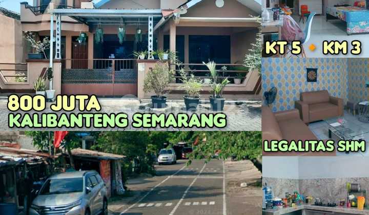 Rumah, 1 Lantai, SHM, Rumah, 1 Lantai, SHM,