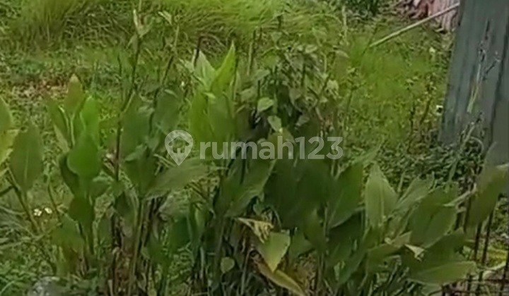 Cheap Sale Plot DPR Block A Suitable for Warehouse