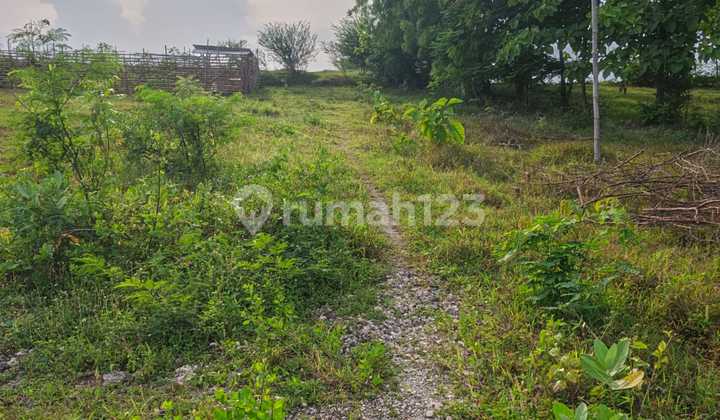 Di Jual Tan Tengah Kota Rembang