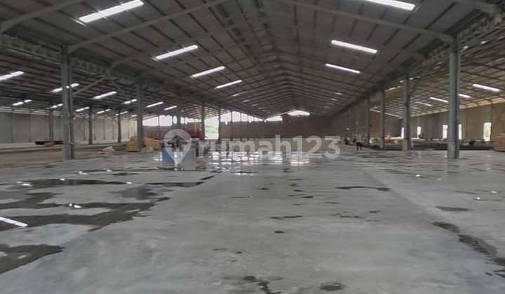 For Rent New Warehouse 1.6Ha Near Highway and Port 2