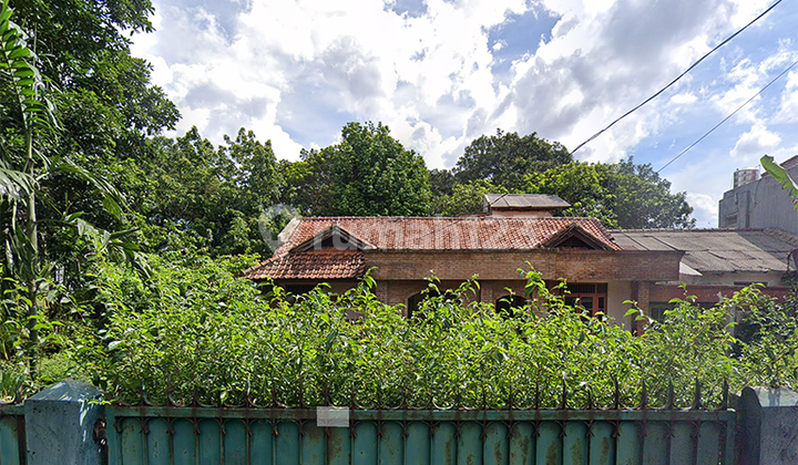 Tanah di Ciganjur Dijual Tanpa Perantara Tanah di Ciganjur Dijual Tanpa Perantara