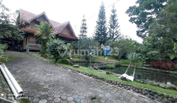Cepat Villa Taman Luas Siap Huni, Nyaman Di Greenhill Cipanas