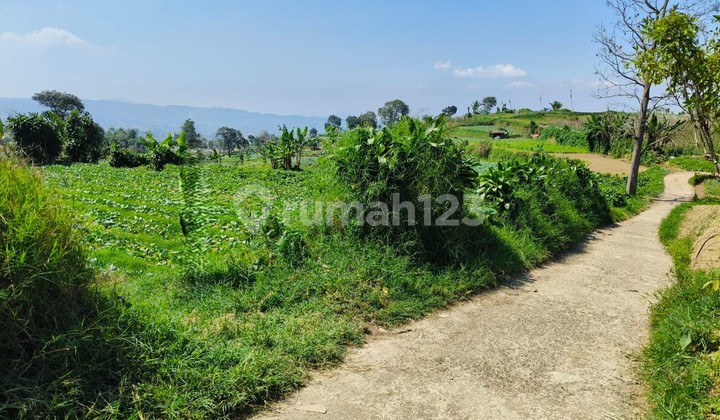 Tanah Luas Menguntungkan 27.000m2 Di Cipanas Puncak