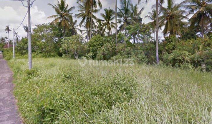 TANAH DATAR KAWASAN VILLA POSISI HOOK DEKAT BALI ZOO 2